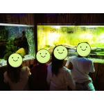 SeaLife5.jpg